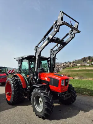 Same Dorado 90 Natural