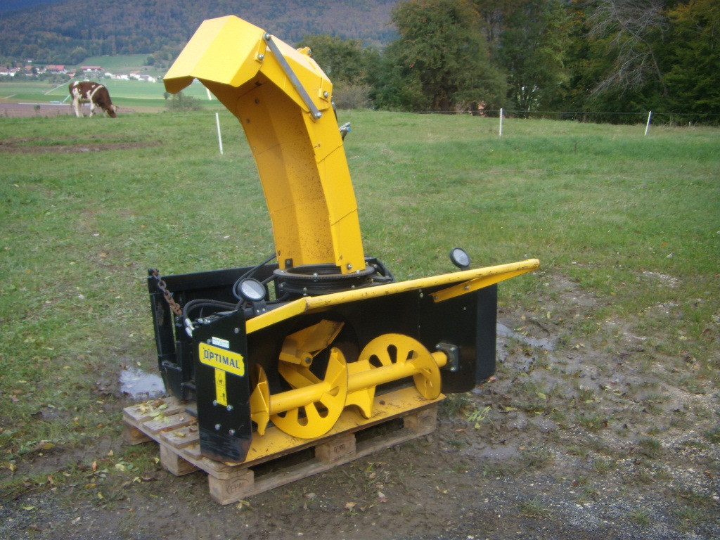 c95b1a17-5e10-4d92-9dde-1fb027324103-Trejon Multione.jpg