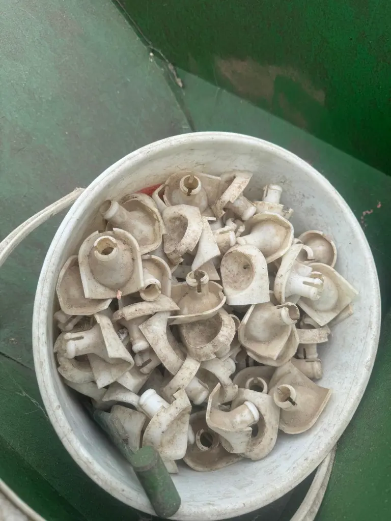 097be127-d0ce-4ede-b3b8-726c00c33962-Kart 07 Einsätze KS.jpg