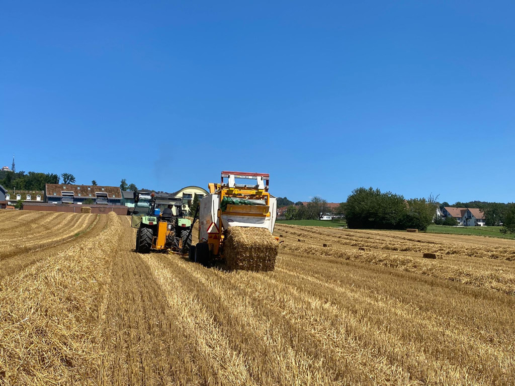 c80a81d0-fd5d-43d1-ab36-6ca2701e4f90-PHOTO-2022-01-29-20-49-15 (2).jpg