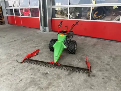 Rapid Swiss