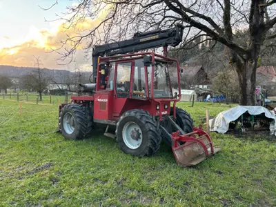 Mahler Elefant mit Kran