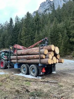 Forstanhänger  Rückewagen