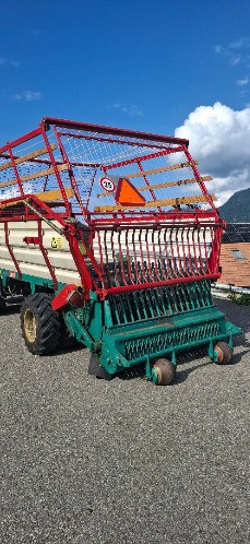 a41b41b3-9eec-451e-9ac7-9502833aa8b4-lüö6 20250729_173135.jpg