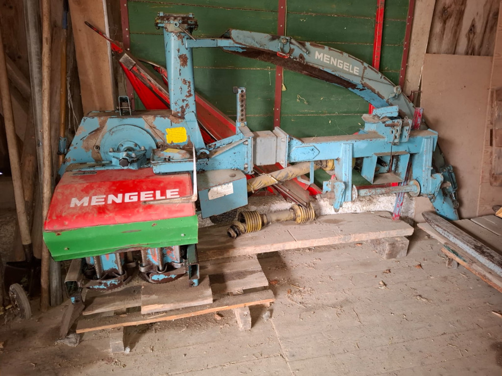 ee4eea28-9f25-4460-a1d1-b507ed9278cc-WhatsApp Image 2025-08-04 at 13.jpg