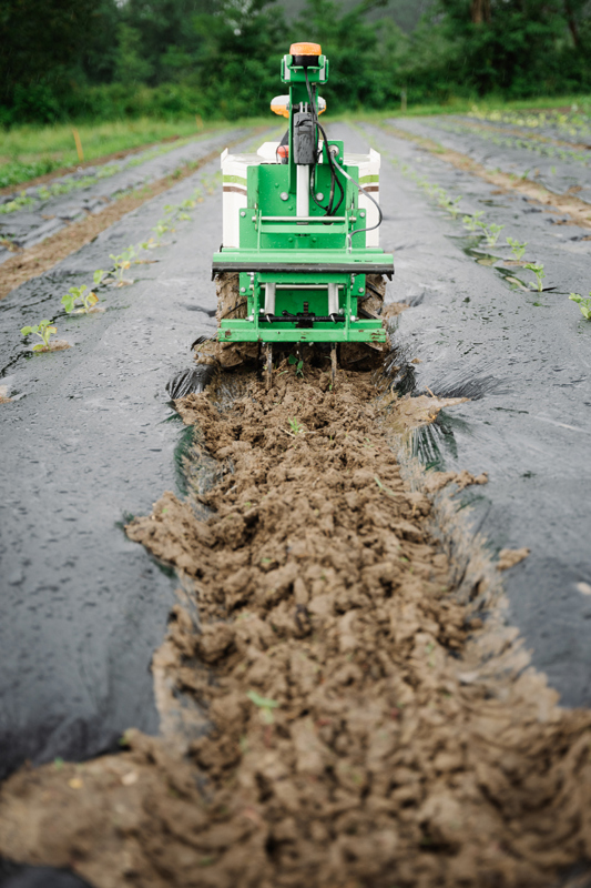 293dc581-6d11-4a7c-9efa-6ba6900245b2-Oz Hacken.jpg