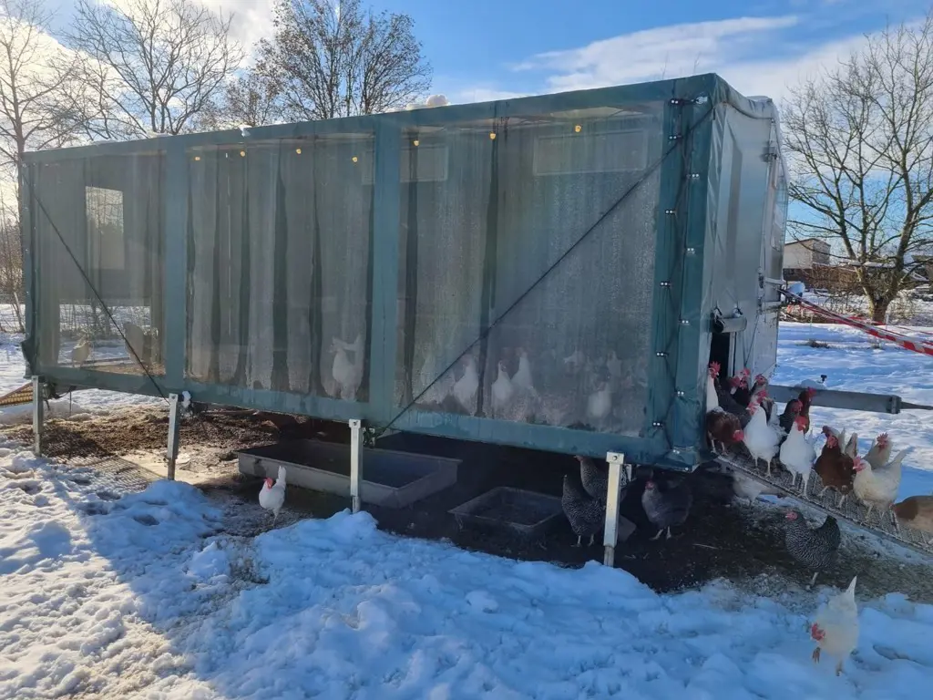 dbbcf33e-9770-4405-aea3-b941b9ccd00d-WhatsApp Image 2026-04-13 at 10.jpg