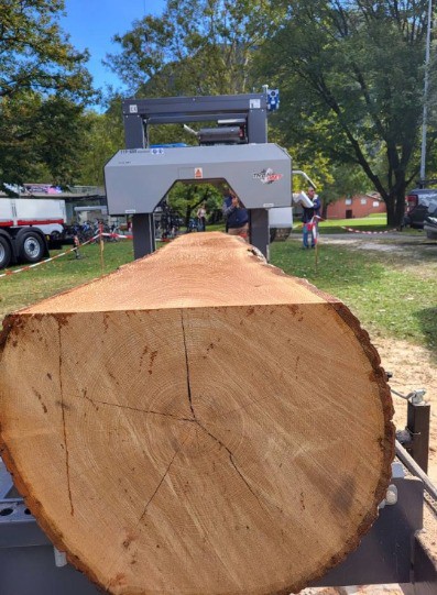 9c54d51e-526f-4ada-a18c-febde0587304-standard 555.jpg