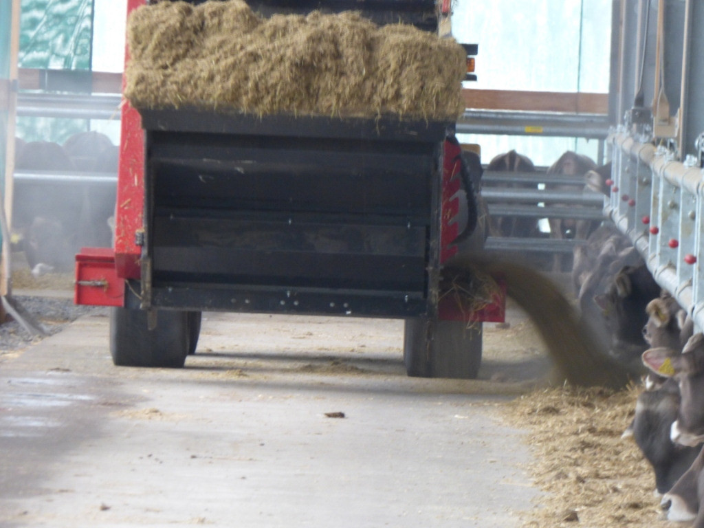 b55d23d1-593d-40c7-94e8-64eee1f11e4b-P1000848 kom.jpg