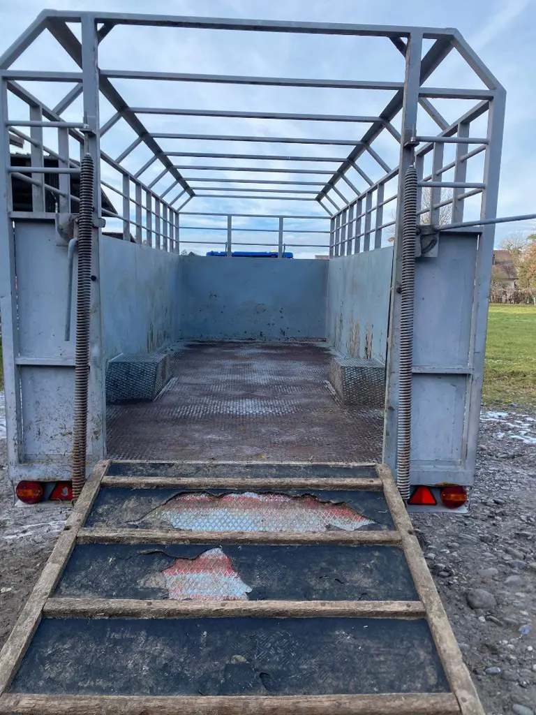 6195ee85-92cb-43b1-a862-256a09807dde-WhatsApp Image 2026-01-14 at 21.jpg