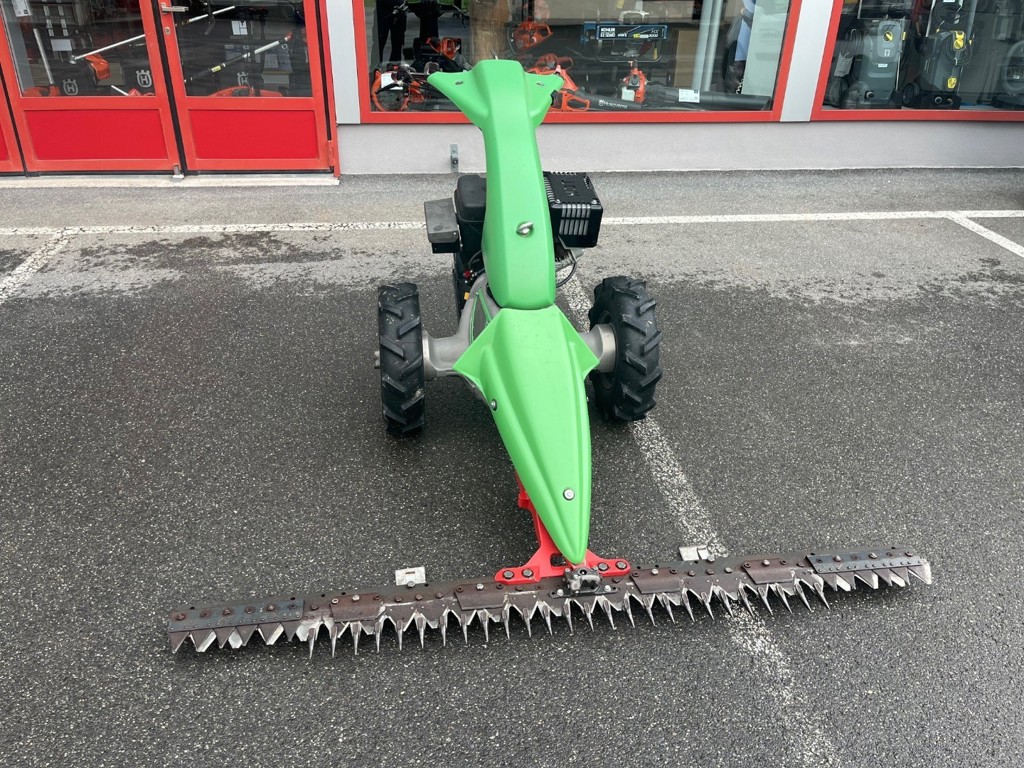 10b9a1bf-3f88-49f3-9a6b-0283f67a9197-Rapid Universo Mächler Mädi 3.jpg