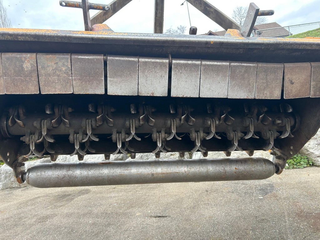 22811368-61da-485a-8afb-98d6665dc70b-WhatsApp Image 2025-12-23 at 07.29.19 (2).jpg