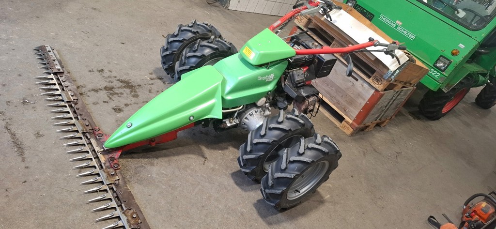 3cabc8cb-a568-4343-968b-5c72629e643d-Euro 3 20251008_163729.jpg