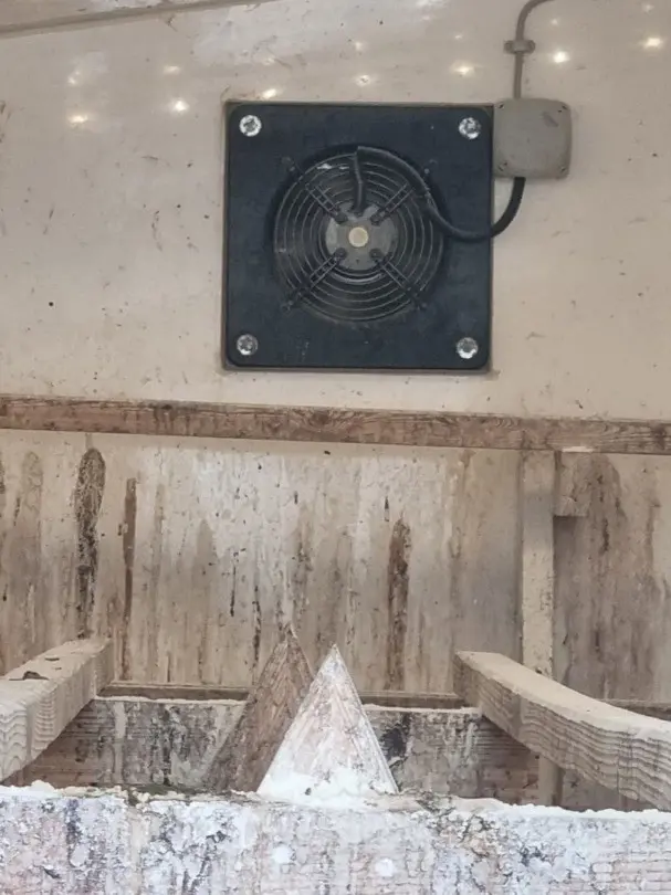 0e99a665-e8c9-43d1-84ff-637e4b888272-WhatsApp Image 2026-04-13 at 10.32.23 (7).jpg