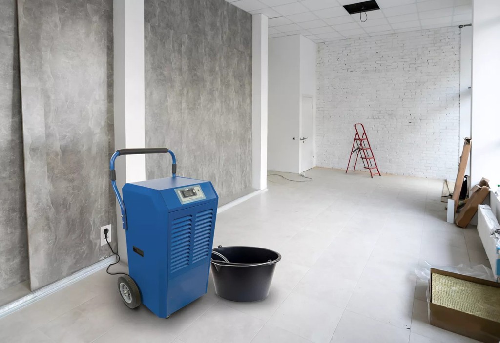 6d335b7a-73ac-416e-aec3-9126bc8e7d29-3 conv.jpg