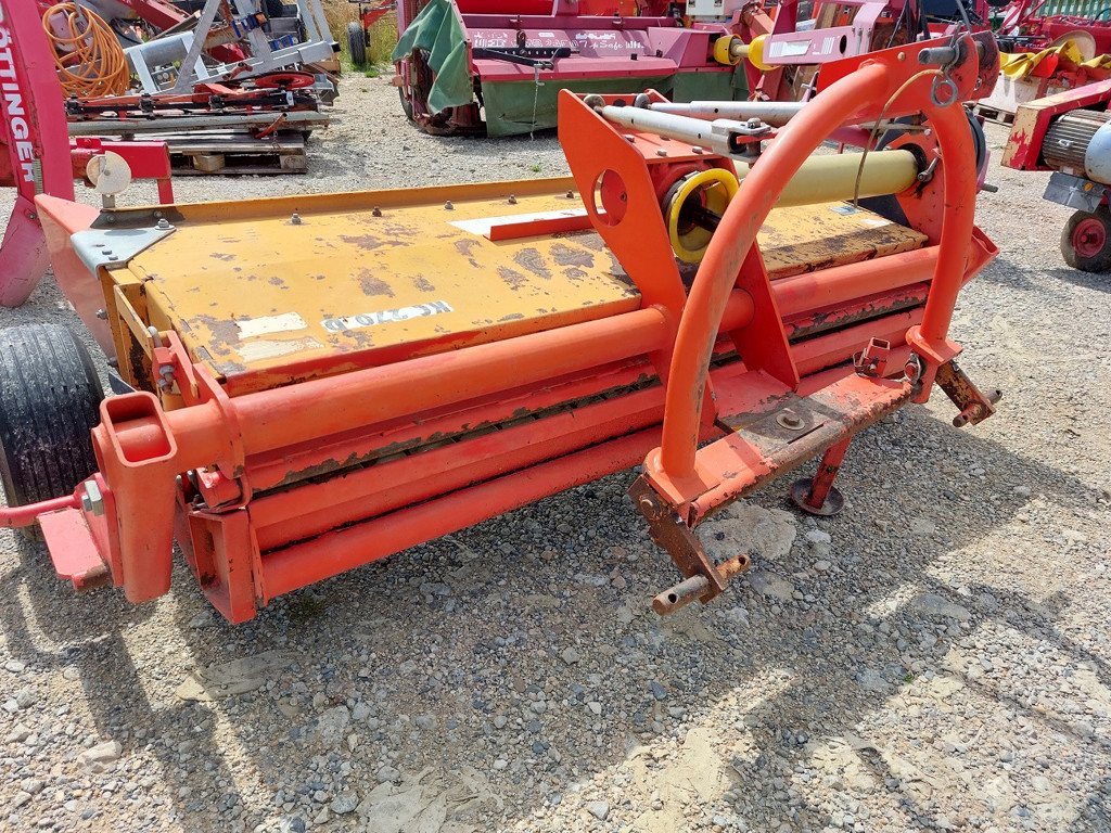 127bf1ed-3391-4824-a4a3-71f8c231e961-Fella Stauffer  (1).jpg