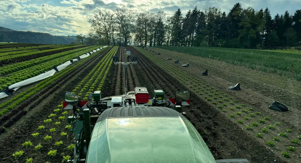 e7c4661a-79b1-40fd-9f16-50f498325c5d-Screenshot 2026-03-26 075145.jpg