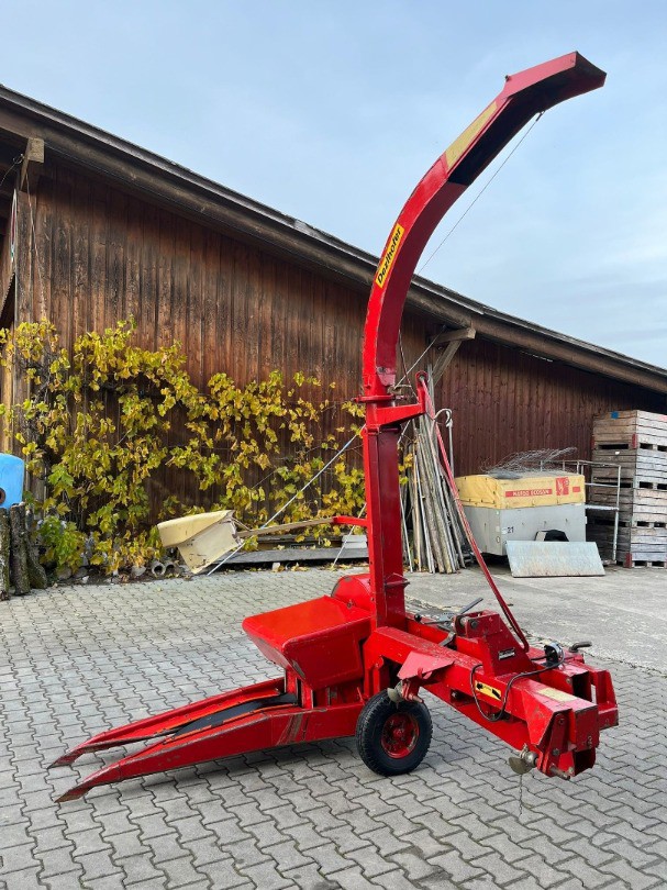 98fc72fa-788c-488c-b056-178f9a84e976-WhatsApp Bild 2025-11-02 um 19.jpg