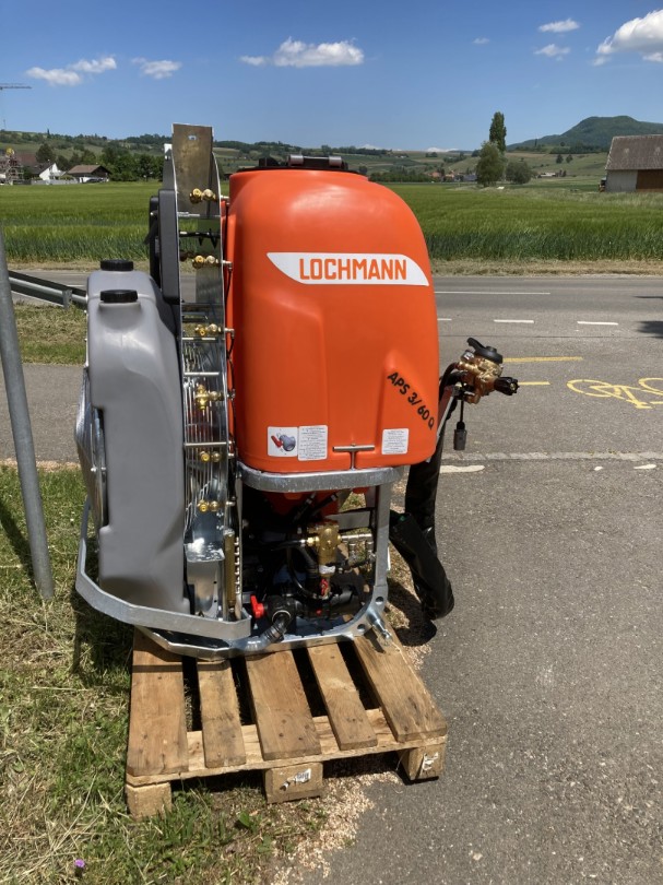 d0ee6617-d926-4aae-a93c-d57d38c76d0c-Lochmann 2025ll.png