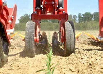 Einböck Chopstar Twin 6×50 cm Präzisionshackgerät