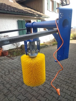 Kratzbürste Pendelbürste DeLaval mit Garantie