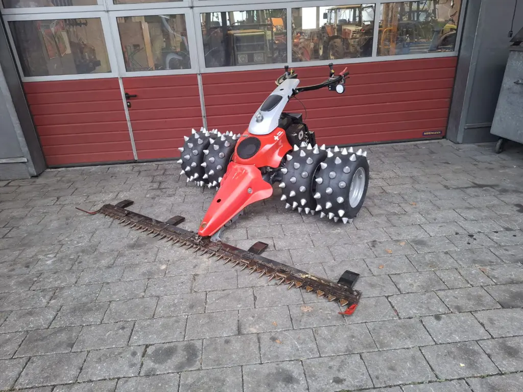 d73d05b0-0296-4366-a193-3d7b14c3415f-WhatsApp Image 2025-12-13 at 09.jpg