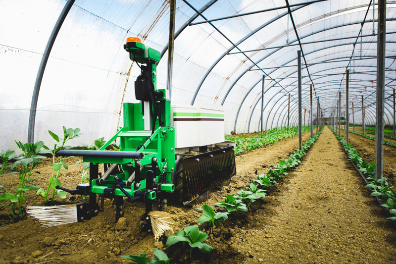 7c601685-745a-428a-a7ee-ff731f73a5c7-Hacken Folienhaus.jpg