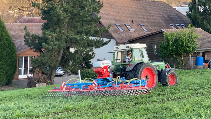 Gorenc Striegel mit Sägerat