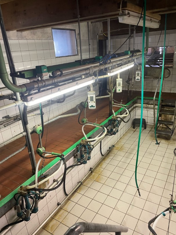 f8a6b5fa-a939-4dc9-8213-6e9d954c2089-WhatsApp Image 2025-05-02 at 08.20.12 (1).png