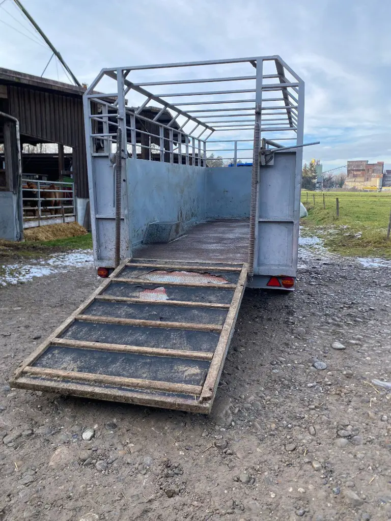 0acaff4c-b547-4887-a657-095bc3e2db22-WhatsApp Image 2026-01-14 at 21.12.18 (1).jpg