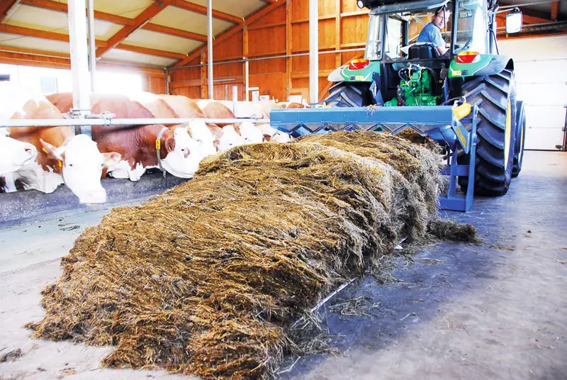 Göweil Rundballenschneider RBS (mit Folienhalter)