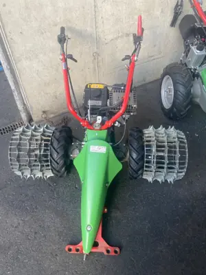 Rapid Rex