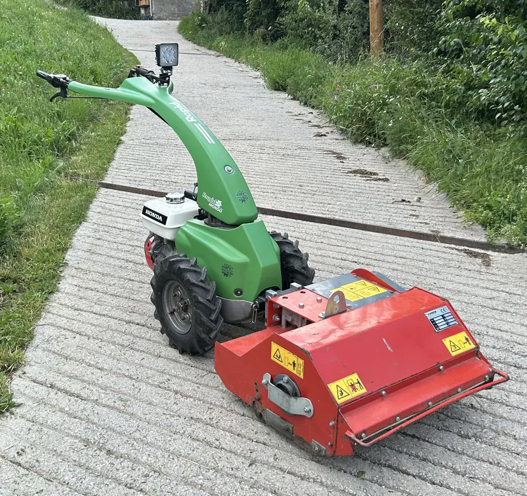 Rapid Mondo mit Mulcher