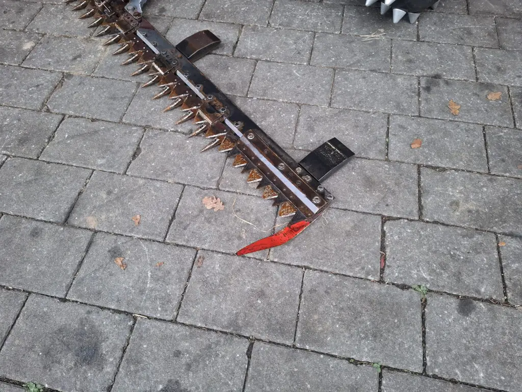 3ded1872-b63d-4f9a-87e8-eb203e94594a-WhatsApp Image 2025-12-13 at 09.jpg