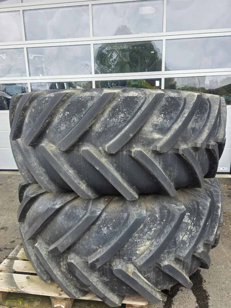 1f198d4b-bdfe-46c3-aec2-b331287c76ee-20260610_110627.jpg