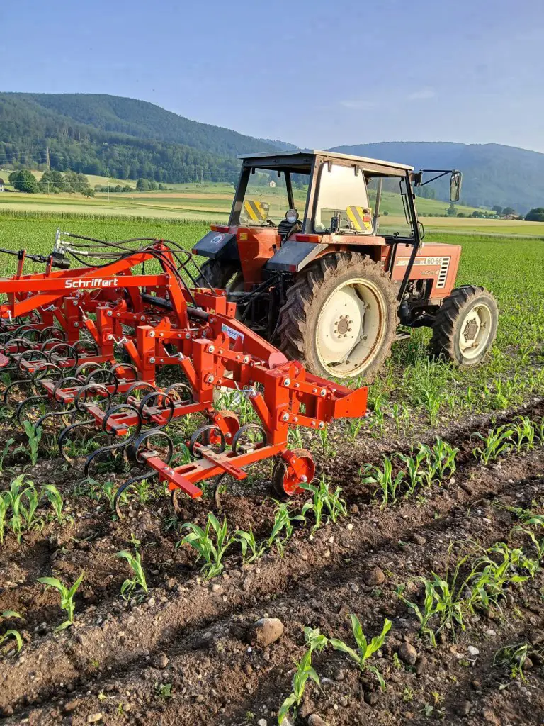 Neues Hackgerät 6×75/6×50 Serie 2026