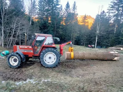 Rückezange/Hydr. Holzrückezange Perzl - seit mehr als 25 Jahren, Pince à débardage Perzl - depuis 19
