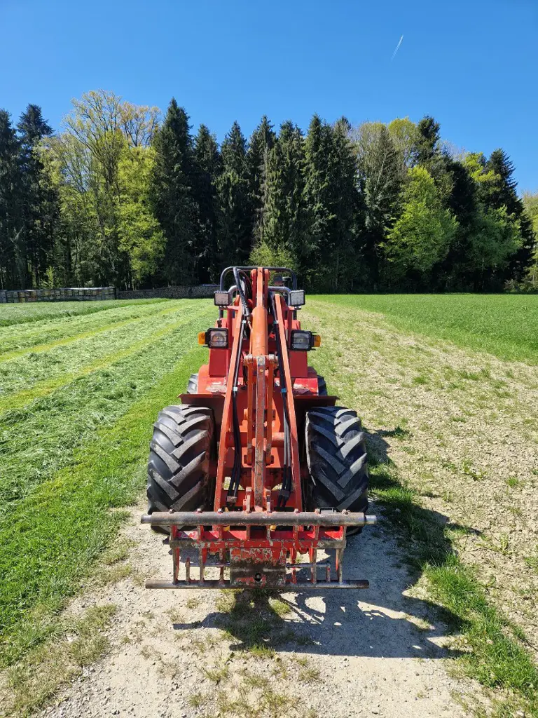 b0ac8166-feb3-47d8-aeef-8029f1e5079b-shared image (2).jpg