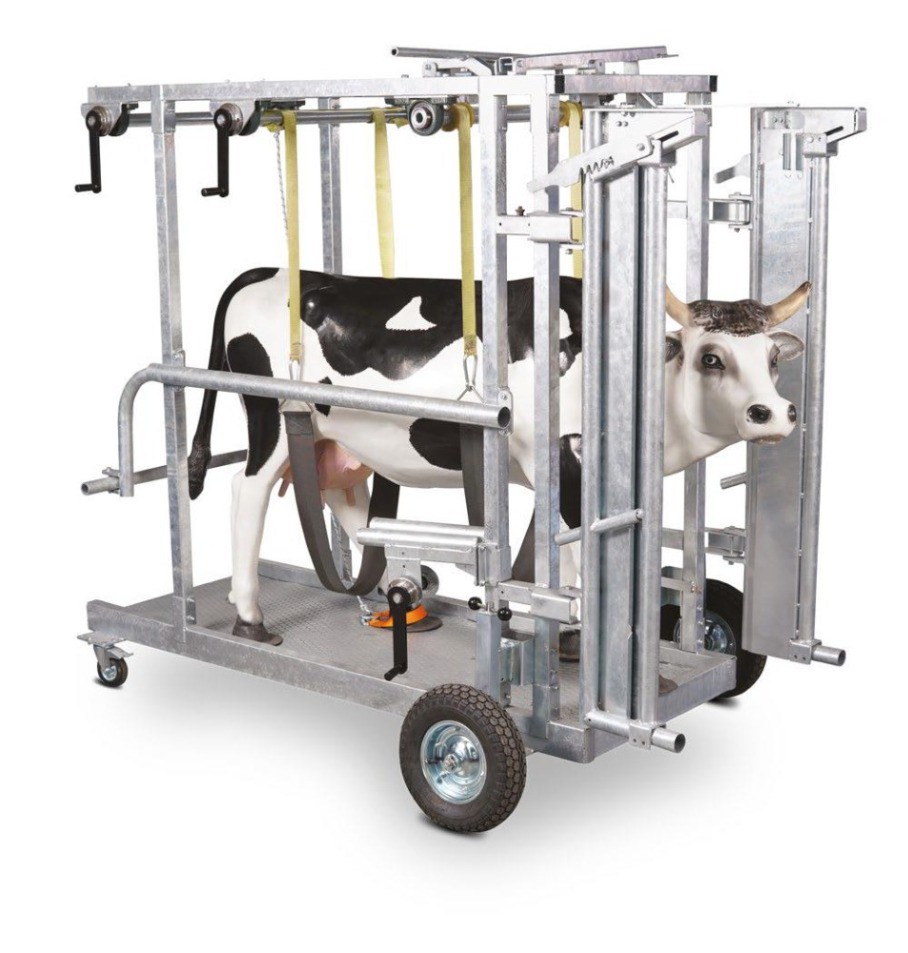 d021f69a-c904-4e39-86b8-ad38d66db2cd-Melasty Klauenpflegestand 1.jpg