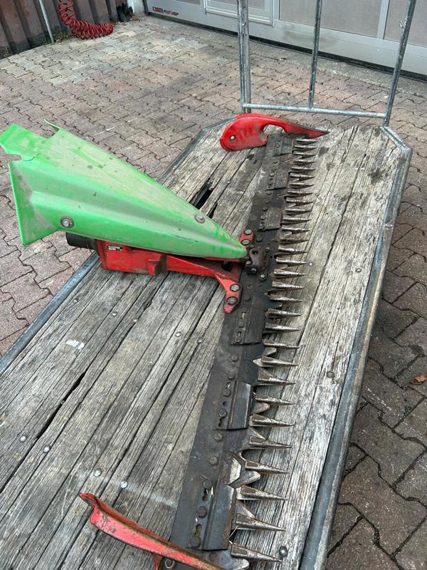 86b17695-ced4-48a5-9543-32e31b09c104-Foto 5.JPG