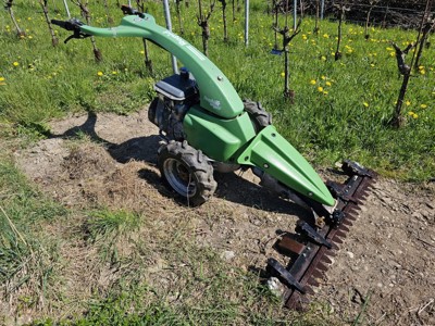 Rapid Mondo Einachser in gutem Zustand