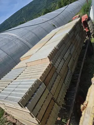 Caisse de semis