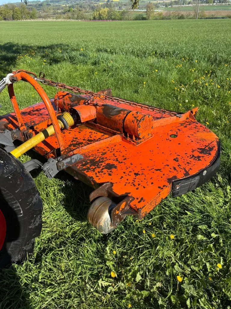 1bf339f0-81e4-4a32-9c8f-c31f24ba9bca-WhatsApp Image 2026-04-23 at 14.15.26 (5).jpg