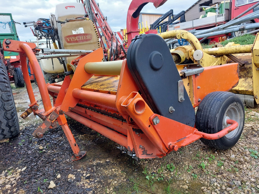 22ebe2e7-e914-4742-b1a8-8eb57b4a6387-Fella Stauffer  (6).jpg