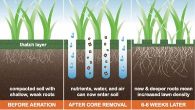 Wiesenbelüfter/Grasnarbenbelüfter  1.50, 2.50/3.00/5.0m, Aerateur de prairies - Stacheln Sie jetzt i