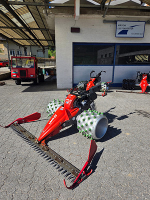 Motormäher Reform RM 16.161M