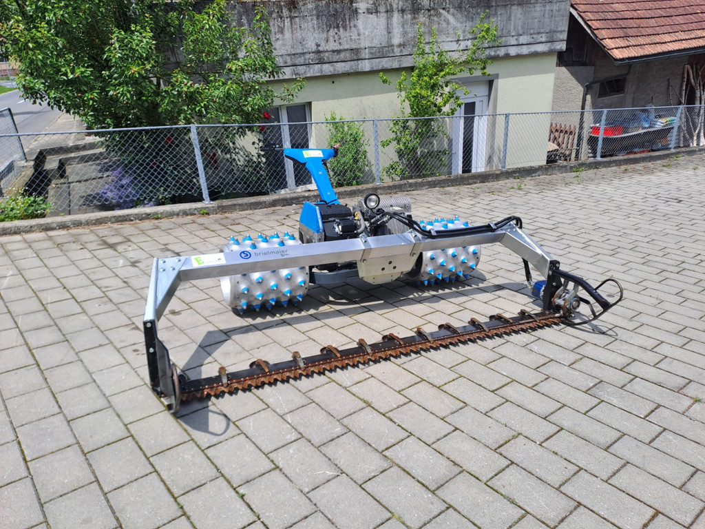 5697eb3c-bc45-4d2f-a233-cc7209e7dfee-WhatsApp Bild 2024-06-28 um 18.jpg