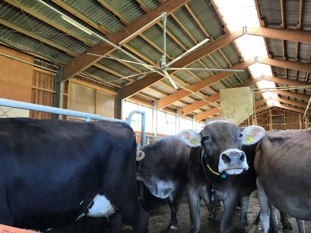 f9180f44-6e2e-49fc-b515-f57c6ff9c02e-Breeze still 4.png