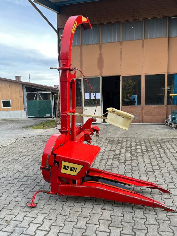 52cf8b09-13f7-4eb5-bc77-90538064ec55-WhatsApp Bild 2025-11-02 um 19.jpg