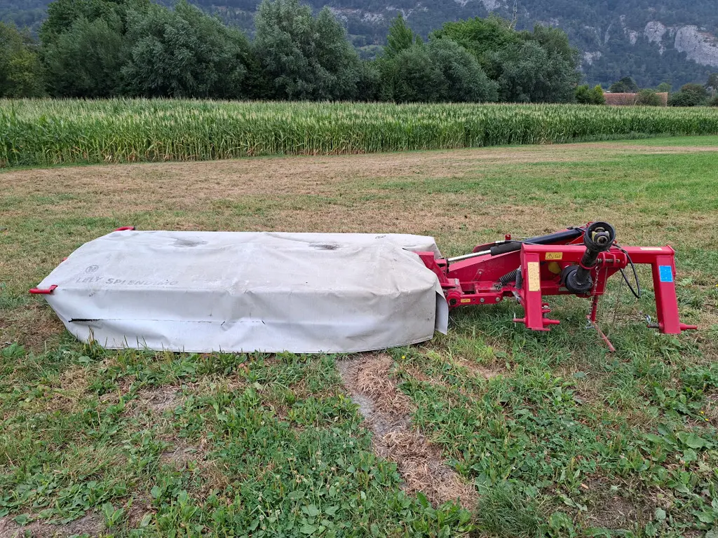 29a3b6c7-24ff-4610-bd94-37e6619e3848-20260806_094538.jpg